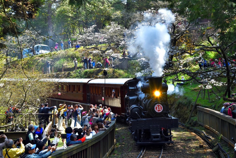 阿里山林鐵推蒸汽火車賞櫻遊程 規劃隱藏版路線 | 華視新聞