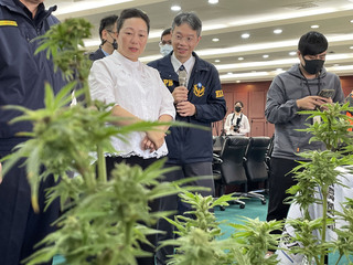 花警破獲暴力犯罪及大麻栽種集團  逮11嫌送辦