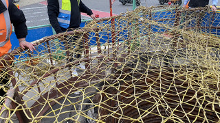 亞運龍舟金牌國手墜坑亡  桃市府將加強工程防護