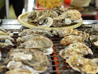 大啖鮮烤生蚵卻鬧肚子 嘉縣衛生局輔導稽查業者