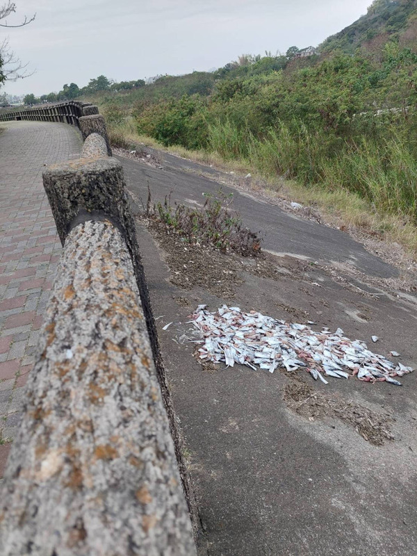 河堤旁棄置上百顆魚頭  男子涉案遭警移請裁處 | 華視新聞