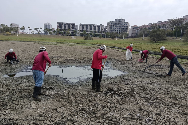 台南水情不佳蓮潭公園滯洪池乾涸 清出400條魚屍 | 華視新聞