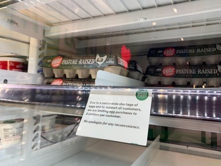 加州「雞蛋通膨」 人道飼養成本高衝擊低收入戶