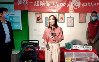 新北動保處辦兔年特展  提供資訊籲勿棄養