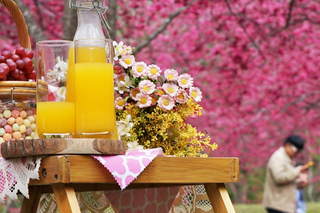 高鐵推國旅聯票出遊 車票限時75折優惠