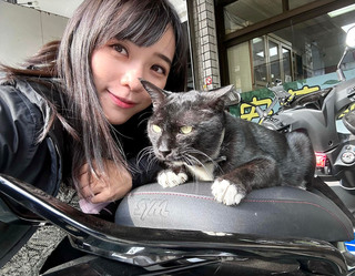 鼓勵飼主替犬貓結紮  高市提高節育補助