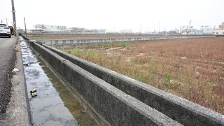 苑裡鎮灌溉水量小春耕恐難整田  農水署調高放水