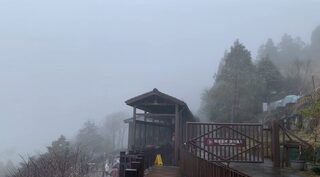 太平山0度水氣不足未降雪 下起霧雨現少許霧淞