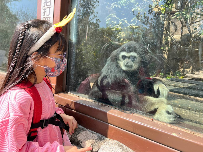 壽山動物園連假人氣強強滾  估天天迎8000人次 | 華視新聞