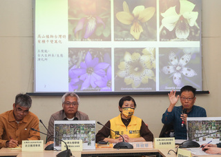 立委憂外來種植物入侵高山  籲政府重視儘速盤查