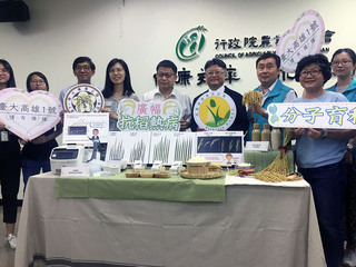 「台大高雄1號」新品種抗稻熱病 供有機、集團新植