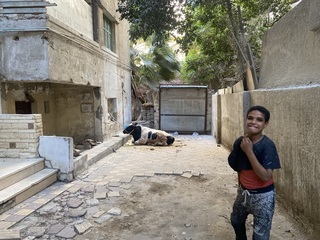 埃及肉價翻倍  窮苦穆斯林買不起牲品難過宰牲節