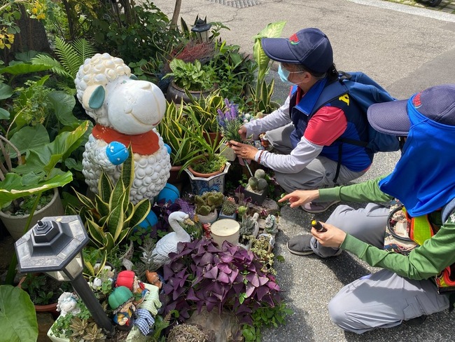 高雄第3例登革熱個案 為第2例接觸者 | 華視新聞