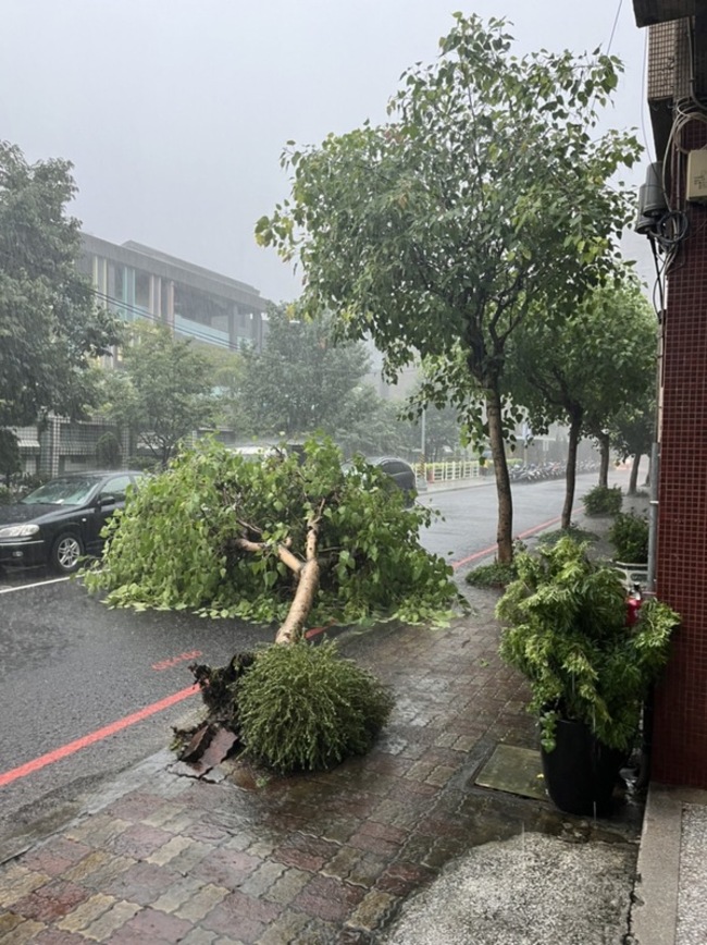 豪雨灌新北  泰山女兒牆塌、板橋路樹倒已排除 | 華視新聞