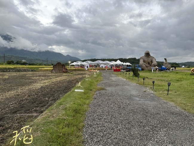花蓮富里稻作大豐收 稻田餐桌星月饗宴拚觀光 | 華視新聞