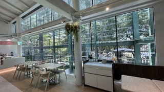 讓人坐入猩猩鐵籠換位感受 壽山動物園光室咖啡開幕