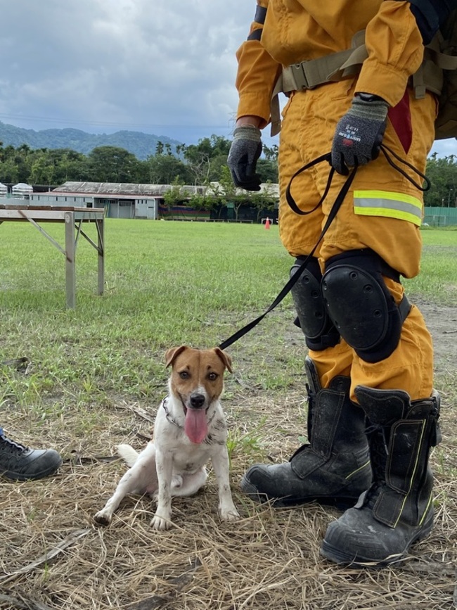 搜救犬IRO國際評量 台日8隊成為新尖兵 | 華視新聞