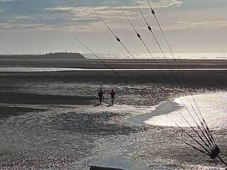 台中高美濕地4移工落海 1人上岸3人失聯