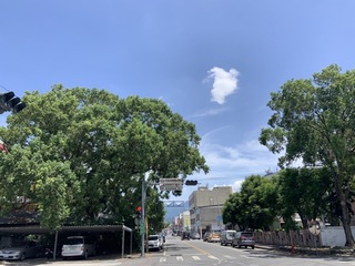 花蓮連日高溫破38度手搖飲訂單多 農民上午8時收工