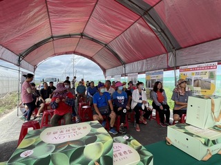 嘉縣推空心菜輪作美濃瓜  友善環境增加農民收益