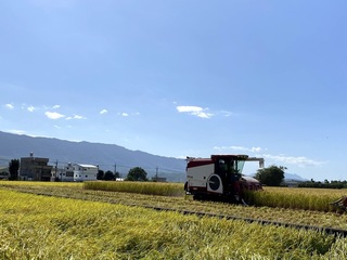 頻現38度高溫 花縣府籲務農避開上午10時到下午2時