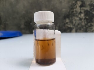 高雄第10例登革熱 路竹區女性曾至台南疫情熱區