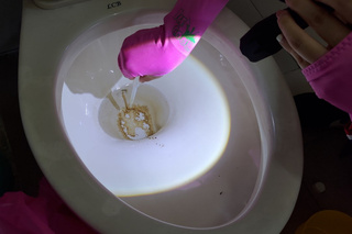 台南新增22例登革熱確診  查獲馬桶變孳生源