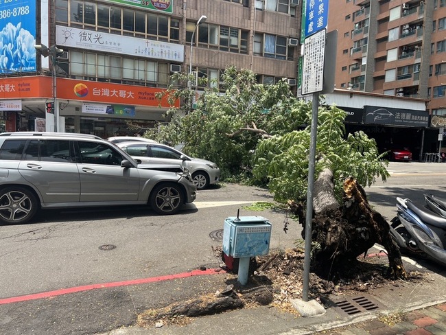 中市南屯行道樹倒塌砸路過4車釀刮傷凹損 幸無人傷 | 華視新聞