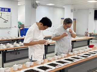 花蓮蜜香紅茶評鑑 比賽提升茶農競爭力