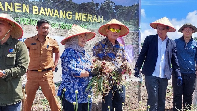 台灣技術團輔導印尼農民種紅蔥  受肯定 | 華視新聞