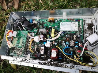 古坑疣胸琉璃蟻爆發入侵電器築巢 鄉民籲助防治