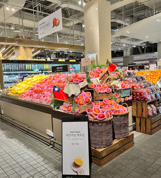 黃偉哲訪韓行銷芒果  鎖定高端市場