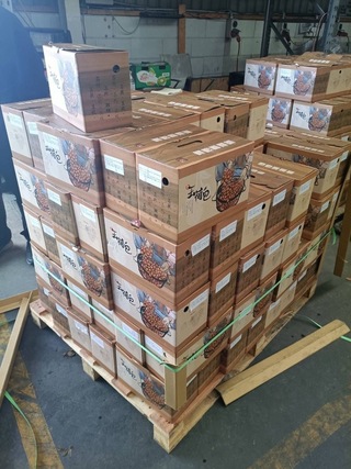 台灣玉荷包紐西蘭熱銷  蒸熱冷藏技術維持美味