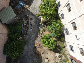 雲林展開21天滅蚊大作戰  首日開10張罰單