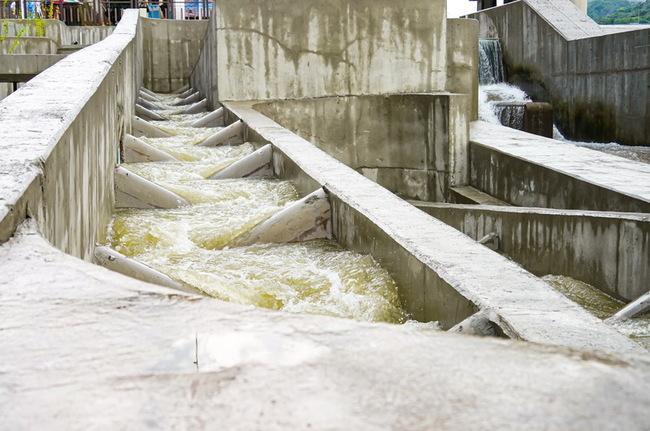 新店溪碧潭堰魚道通水  逾20種溯游魚順利回家 | 華視新聞