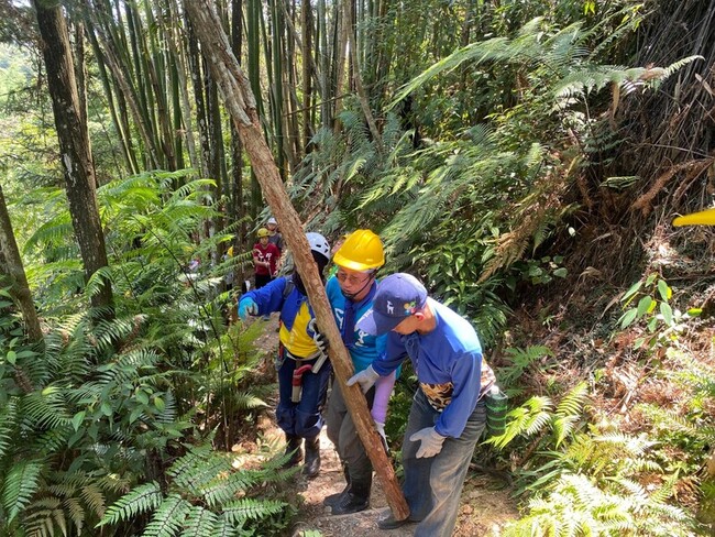 南投澀水森林步道手作改善 保護豐富蕨類生態 | 華視新聞