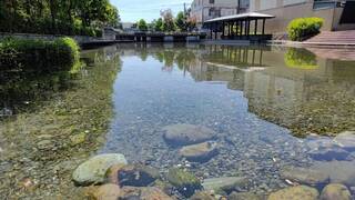 一度遭廚餘污染 宜蘭冬山松樹門湧泉區水質回復