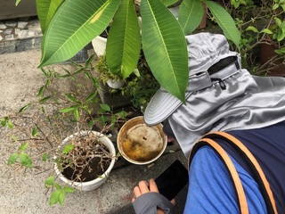 台南登革熱疫情升溫  環保機關動員防疫清消