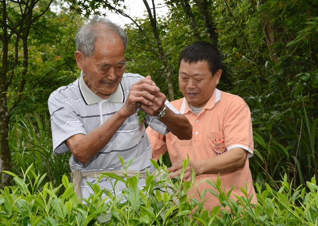 國寶級製茶師李葉煙全辭世 享嵩壽106歲 | 華視新聞