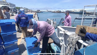 颱風杜蘇芮逼近 台東離島船班停航民生物資忙補給