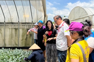 張善政視察產銷班  桃園95公噸冷藏蔬菜待命釋出