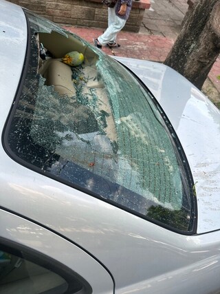 台中芒果掉落砸破車窗 市府助國賠並移植果樹