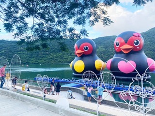 因應颱風杜蘇芮 花蓮紅面鴨FUN暑假暫停先防颱