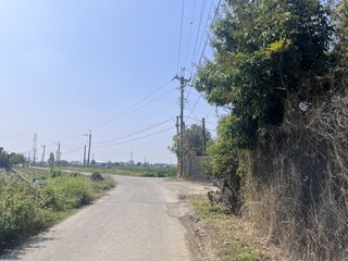 台南新市園區南側聯絡道將開工 113年10月完工