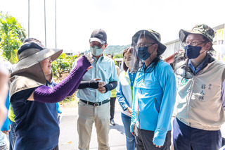 沃爾巴克氏菌助防登革熱？疾管署：流行期間不適用