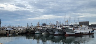 颱風杜蘇芮逼近  澎湖防颱