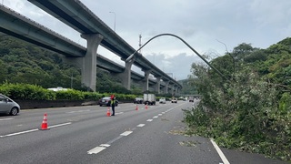 國1北向林口段樹倒路燈垮一度回堵 疑風雨大釀禍
