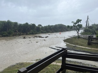 颱風來襲屏東逾77人撤離  零星淹水、路樹傾倒災情
