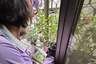 台南添20例本土登革熱  因颱風暫停噴藥1天