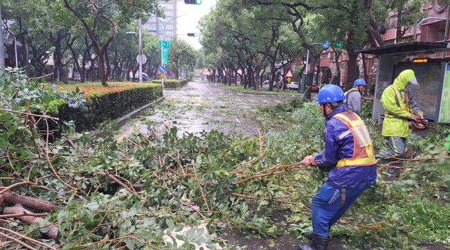 杜蘇芮風力強勁 高雄路樹傾倒多達800件 | 華視新聞
